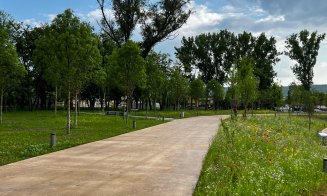 Verde în parcurile Armătura și Feroviarilor