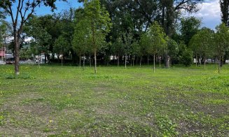 Verde în parcurile Armătura și Feroviarilor