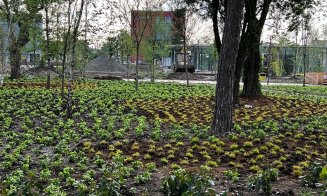 Verde în parcurile Armătura și Feroviarilor