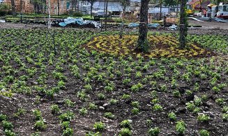 Verde în parcurile Armătura și Feroviarilor