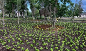 Verde în parcurile Armătura și Feroviarilor