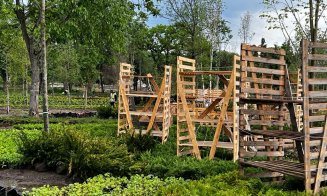 Verde în parcurile Armătura și Feroviarilor