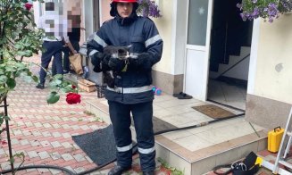 Un nou incendiu în Cluj-Napoca! N-au fost victime, dar pompierii au salvat o pisică