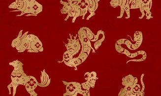Horoscop chinezesc weekend 10-11 iunie 2023. Ce zodii vor câștiga o sumă de bani