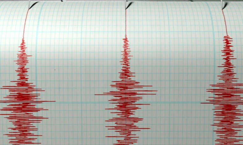 Un nou cutremur în România. Ce magnitudine a avut și unde s-a produs