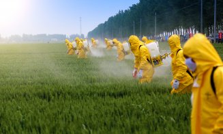 Legea UE privind reducerea utilizării pesticidelor bate pasul pe loc. Țările care se opun