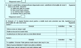 Evaluare Națională 2023. Ce subiecte au primit elevii la Română