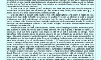 Evaluare Națională 2023. Ce subiecte au primit elevii la Română