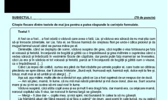 Evaluare Națională 2023. Ce subiecte au primit elevii la Română