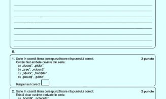 Evaluare Națională 2023. Ce subiecte au primit elevii la Română