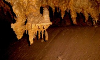 Peștera din Apuseni cu picturi rupestre de peste 30.000 de ani. Se află la trei ore distanță de Cluj-Napoca