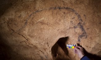 Peștera din Apuseni cu picturi rupestre de peste 30.000 de ani. Se află la trei ore distanță de Cluj-Napoca