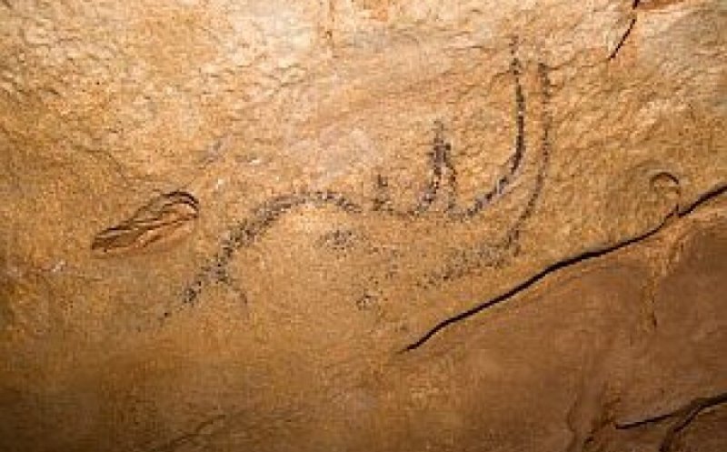 Peștera din Apuseni cu picturi rupestre vechi de peste 30.000 de ani