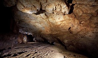 Peștera din Apuseni cu picturi rupestre vechi de peste 30.000 de ani. Se află la trei ore distanță de Cluj-Napoca