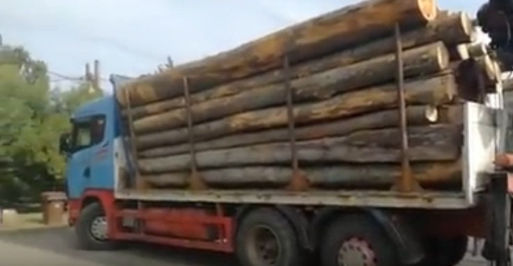 TIR cu lemne, oprit de polițiști pe un drum din Cluj. O firmă a fost amendată cu 4.000