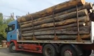 TIR cu lemne, oprit de polițiști pe un drum din Cluj. O firmă a fost amendată cu 4.000