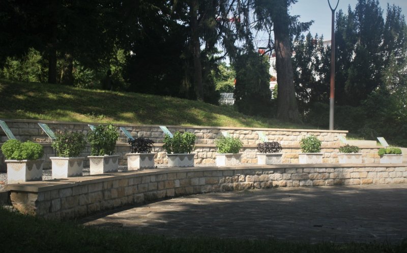 Știați că există numeroase soiuri de busuioc? Dintre acestea, zece sunt prezente și în grădina botanică