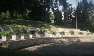 Știați că există numeroase soiuri de busuioc? Dintre acestea, zece sunt prezente și în grădina botanică