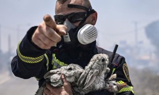 Fotografie virală cu un pompier român în infernul incendiilor din Rodos