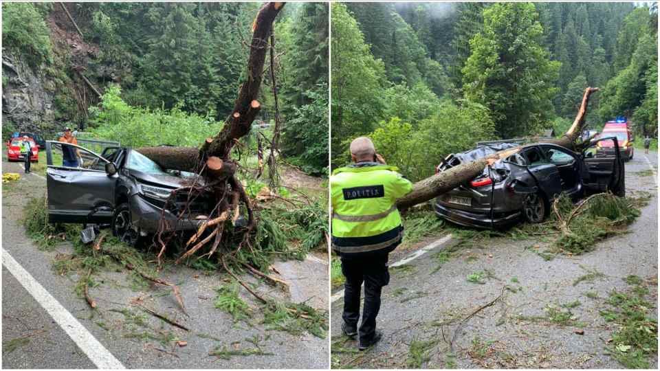 Accident TERIBIL pe Transalpina! O persoană A MURIT și una este rănită, după după ce un copac a ZDROBIT o mașină