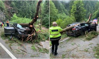 Accident TERIBIL pe Transalpina! O persoană A MURIT și una este rănită, după după ce un copac a ZDROBIT o mașină