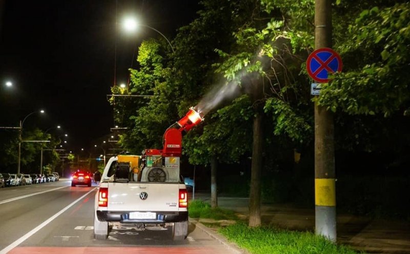 O nouă acțiune de dezinsecție anunțată la Cluj-Napoca