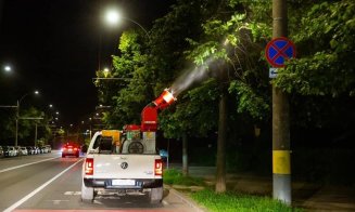 O nouă acțiune de dezinsecție anunțată la Cluj-Napoca
