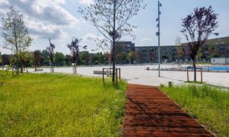 Directorul Eco Garden clarifică „bătălia” VERDE vs BETON de la Cluj: „Orașul trece printr-o perioadă de modernizare, urbanizare și sistematizare a spațiului public”