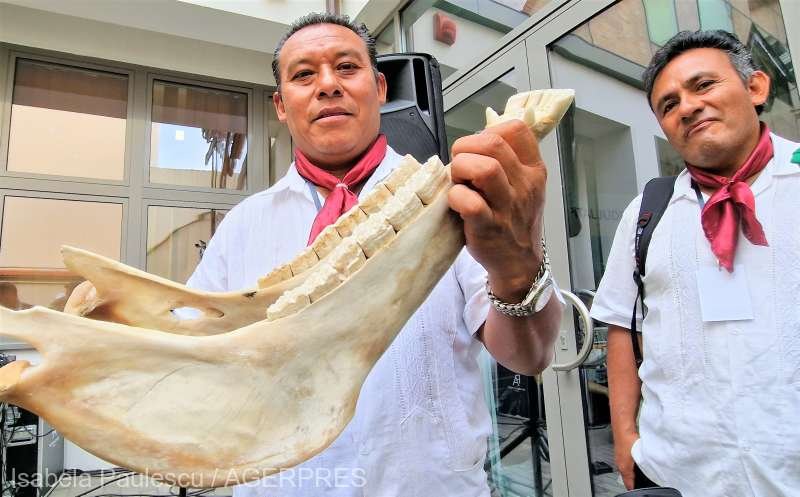 Mandibula unui cal folosită ca instrument de percuție de muzicienii mexicani la Festivalul Internaţional de Folclor de la Sibiu