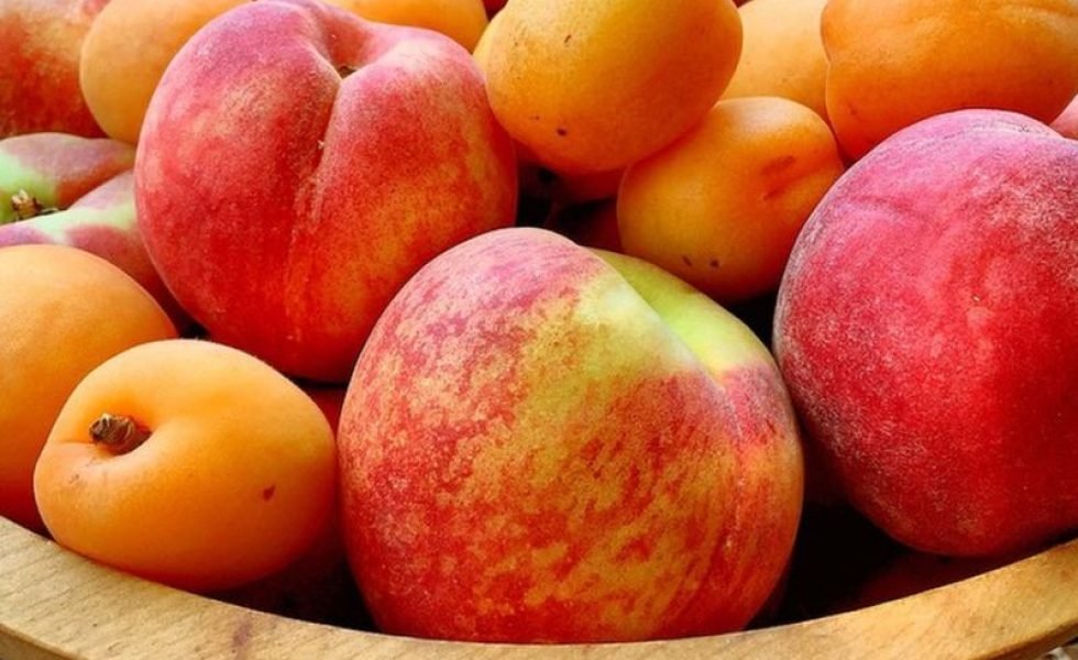 Dieta cu piersici şi caise, trei beneficii: Te ajută să slăbești, detoxifică organismul și luptă cu inflamațiile
