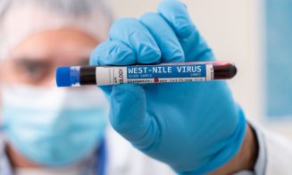 Atenție la țânțari! Virusul West Nile poate provoca boli grave, precum meningita sau encefalita/ Mai multe cazuri de infecție și un deces în România