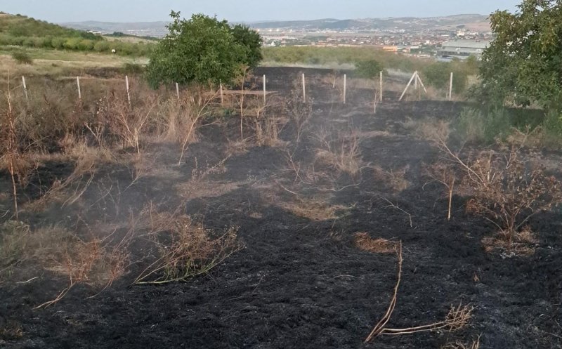 Incendiu de vegetație în apropierea unui bulevard din Cluj-Napoca. Două hectare afectate