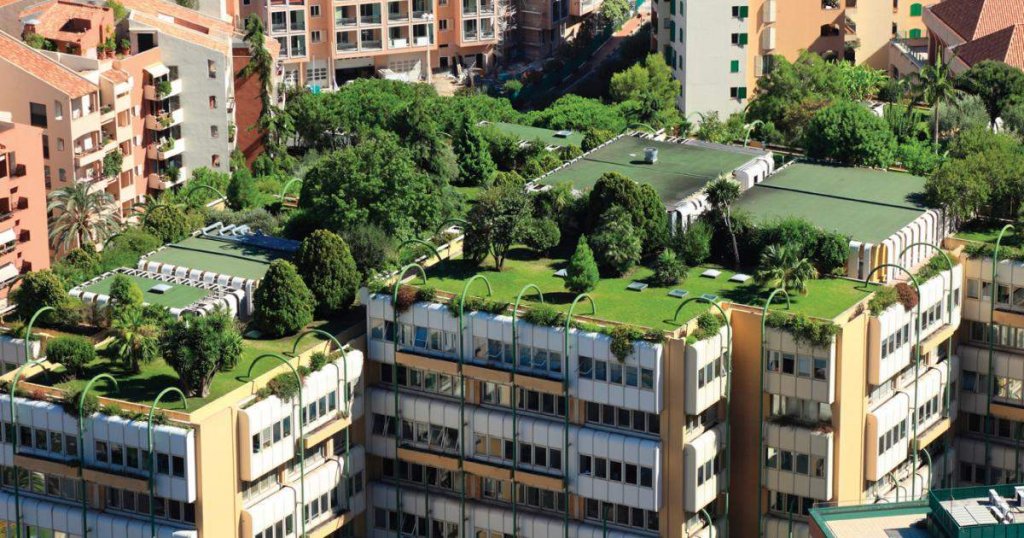 Clădiri cu pereți și acoperișuri verzi, răsplătite de primărie. Primul proiect: parking-ul municipalității clujene