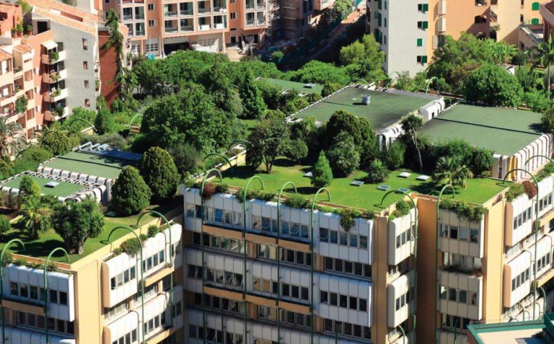 Clădiri cu pereți și acoperișuri verzi, răsplătite de primărie. Primul proiect: parking-ul municipalității clujene