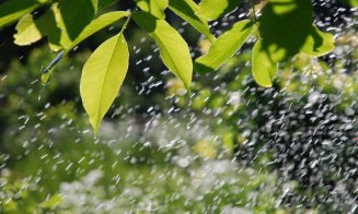 COD GALBEN de instabilitate atmosferică la Cluj