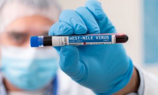 Canicula crește riscul infectărilor cu virusul West Nile! Noi cazuri și decese confirmate în România