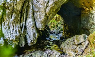 Podul modelat de forța naturii, supranumit “Minunea din Apuseni”, un loc de poveste