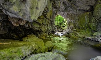 Podul modelat de forța naturii, supranumit “Minunea din Apuseni”, un loc de poveste