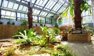 Plantele carnivore își dezvăluie secretele la Grădina Botanică "Alexandru Borza" Cluj-Napoca