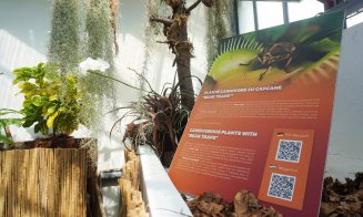 Plantele carnivore își dezvăluie secretele la Grădina Botanică "Alexandru Borza" Cluj-Napoca
