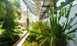 Plantele carnivore își dezvăluie secretele la Grădina Botanică "Alexandru Borza" Cluj-Napoca