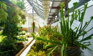 Plantele carnivore își dezvăluie secretele la Grădina Botanică din Cluj-Napoca. Vezi programul