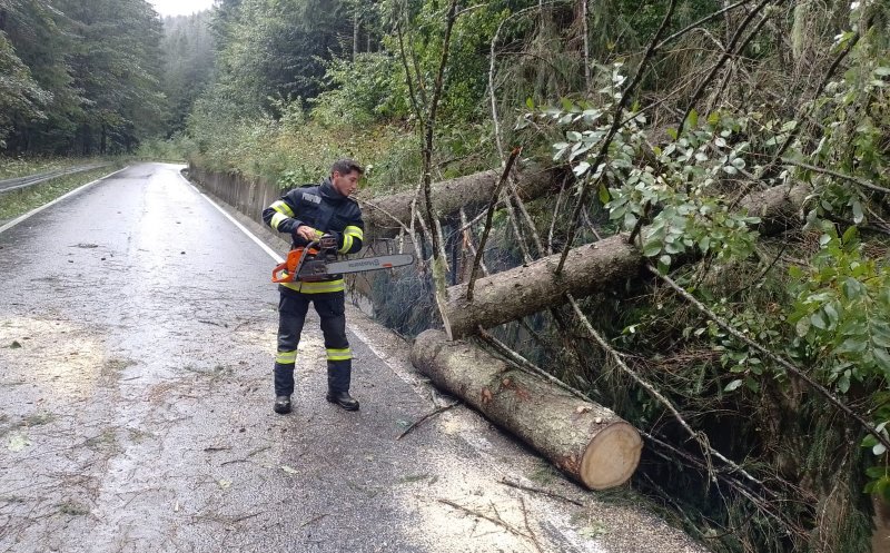 Copaci căzuți pe drum în județul Cluj din cauza furtunii. Pompierii au intrevenit pentru a debloca porțiunile de drum blocate