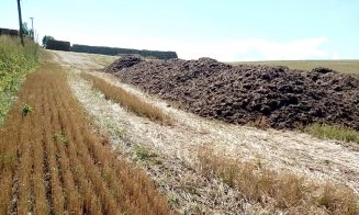 Alin Tişe: "Stopați aruncatul de găinaț / fecale / mortăciuni pe terenurile agricole"