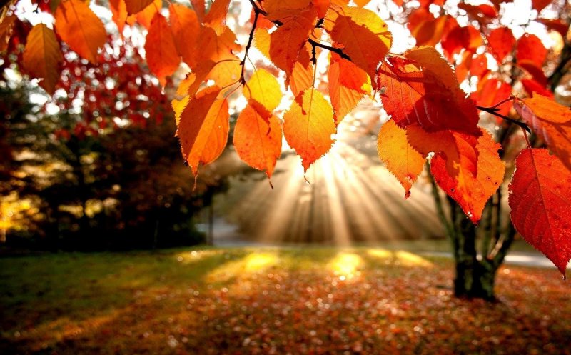 Temperaturi mai ridicate decât cele normale pe tot parcursul lunii septembrie şi în prima săptămână din octombrie