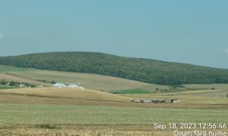 A revenit putoarea în Cluj-Napoca! Transavia a aruncat iar cu găinaț pe câmp / Tișe: „Este inadmisibil”