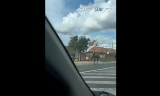 Au scăpat caii putere :) Ca în filmele cu Mărgelatu, în traficul de pe un drum european din județul Cluj