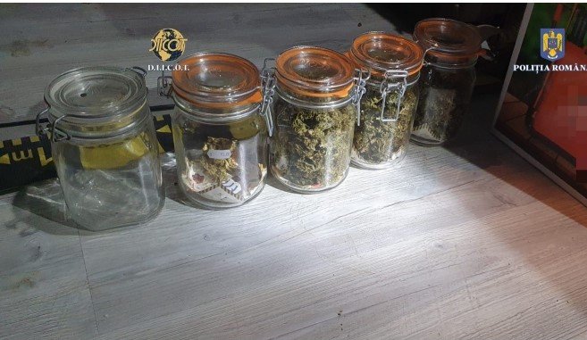 Tânăr de 26 de ani din Cluj, arestat după ce ar fi cultivat canabis