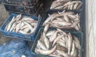 Polițiștii au confiscat sute de kilograme de pește pescuit ilegal și zeci de plase