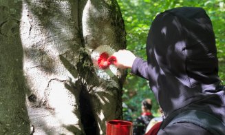 Clujul are un nou traseu turistic extrem de spectaculos